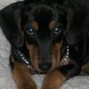 Meet your Posher, Jeremy